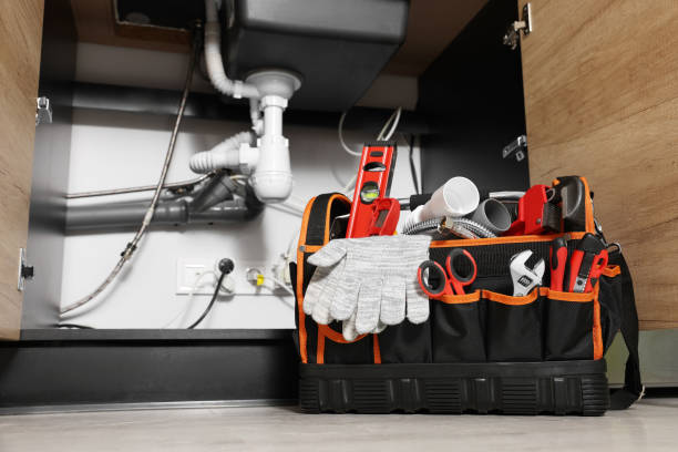 Best Shower Repair Services  in Palmetto Estates, FL